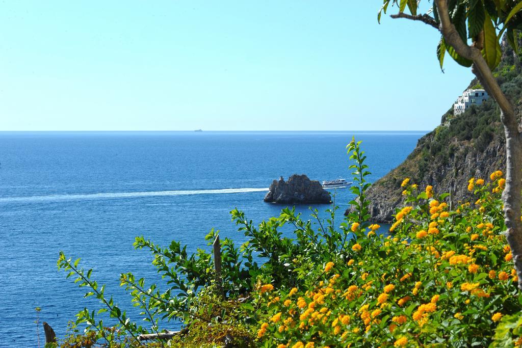 Hotel Torre Saracena 3*